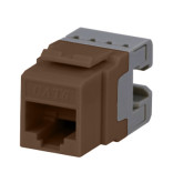 Conector de Datos Cat6 - Marrón