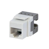 Conector de Datos Cat 6