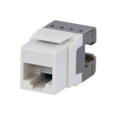 Cat 6 Data Jack- White