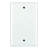 Blank Mid Size Plate - White