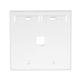 Dual-Gang Quickport Wallplate with ID Windows, 1-Port, White