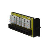 8-Port Cat 6 Network Interface Module