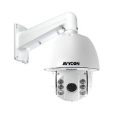 2 MP HD-TVI Indoor/Outdoor 30X IR PTZ Camera