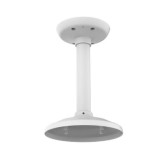 Pendant/Ceiling Mount