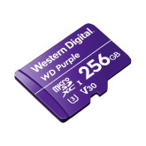 256 GB MicroSD Card