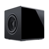 12" Dual-Drive Powered Subwoofer 1000W