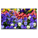 43" LED UHD Monitor