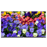 Monitor LED 4K de 55"
