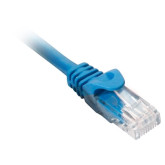 2' CAT6 UTP 550MHZ Snagless Molded Patch Cord - Blue