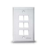 Single-Gang Face Plate with 6 ports