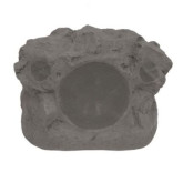 Proficient Protege RS8Si 8-in (200mm) DVC/SST Outdoor Rock Speaker - Granite