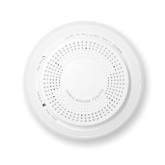 ProSeries Carbon Monoxide (CO) Detector