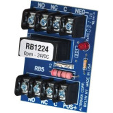 12/24VDC DPDT Relay Module