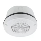 Outdoor Speaker, Ceiling - White
