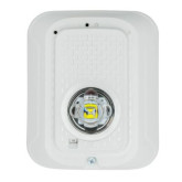 L-Series LED Indoor and Wall-Mount Strobe - White, Marked "ALERT", Amber Lens