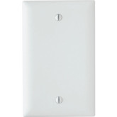 Single-Gang Blank Wall Plate - White