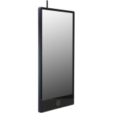 43" IP Portrait Public View Monitor